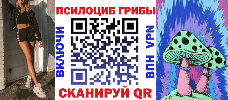 Галлюциногенные грибы MAGIC MUSHROOMS  даркнет сайт  Салехард 